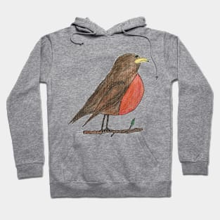 The Melancholy Robin Hoodie